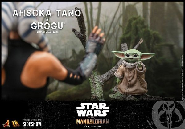 PREORDER: HOT TOYS - Star Wars The Mandalorian Doppelpack 1/6 Ahsoka Tano & Grogu 29 cm